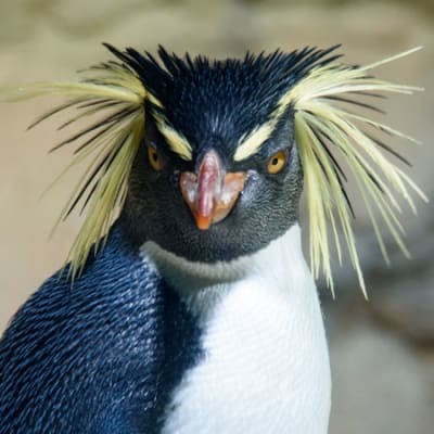 Upcycling plastic, EV accelerations, ECB targets climate risk: key sustainability news in March