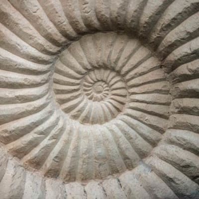 Growth addiction and tightening cycles: learning from the dot.com bubble