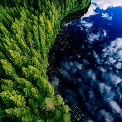 Climate bonds: investing with impact in the race to net zero
