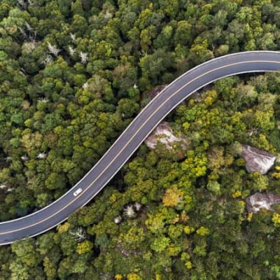Simply put: where are rates headed?