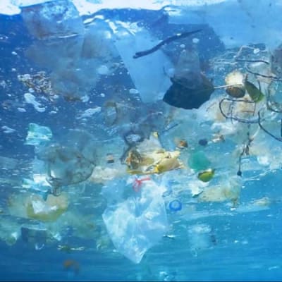 Investing in zero-waste