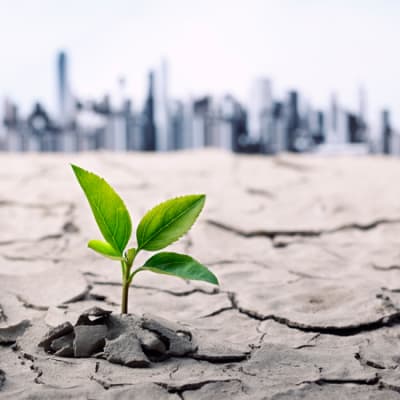 Urgency for positive returns as Japanisation grips