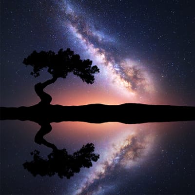 Markets in a Milky Way warp