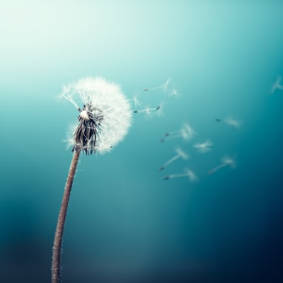 Drawdown control solutions: beware opportunity costs