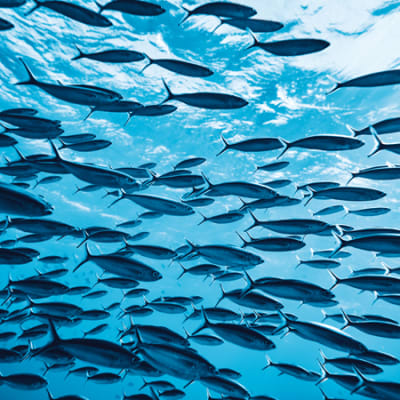 Credit and sustainability: ignorance is risk