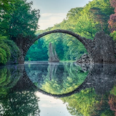 Closing the loop