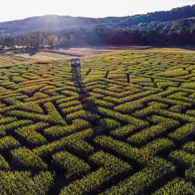 Solving the climate integration puzzle