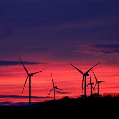 wind: harnessing the power of renewable energy.