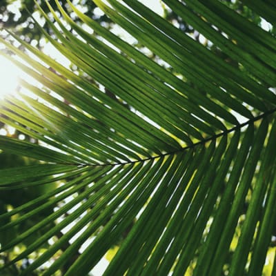 Investors join the battle against climate change