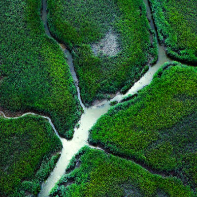 Silvercrest Investment Managers backs alternatives strategy with sustainability focus