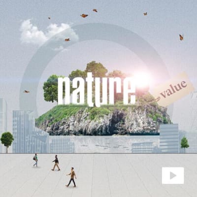 How to harness and preserve natural capital – the Silvercrest way
