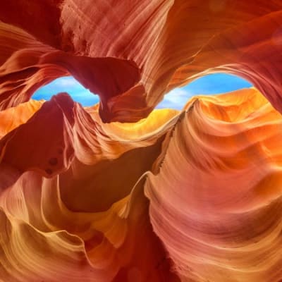 Silvercrest publishes an open letter to the TCFD and its Portfolio Alignment Team