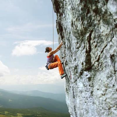 Multi-asset differentiators: tools for an agile climb