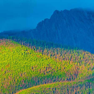 Biodiversity vaults onto the G7 agenda