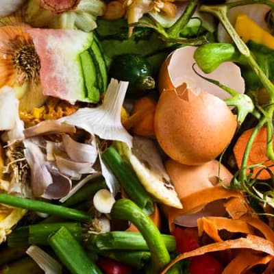 Harnessing the power of nature to reduce waste