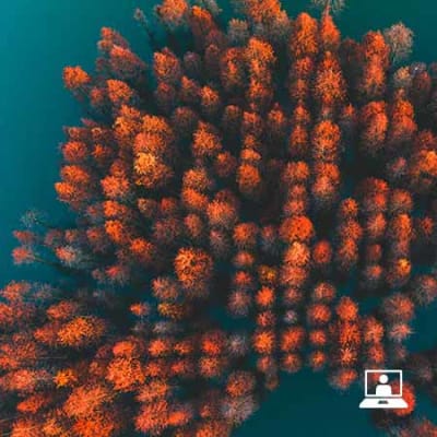 Rethink net zero: opportunities and risks in Equities