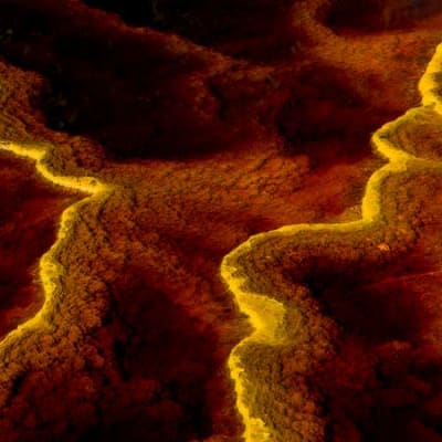 Climate risk: beyond the DWP consultation