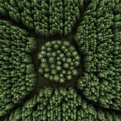 Investing in Nature: the true engine of our economy
