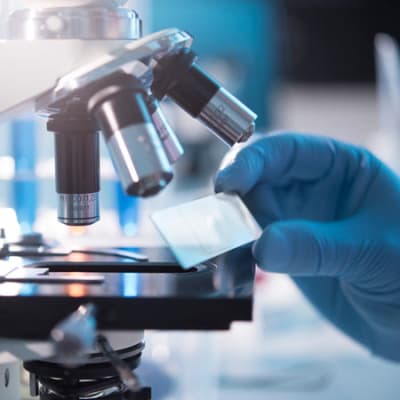 Searching for treasure in pharmaceuticals