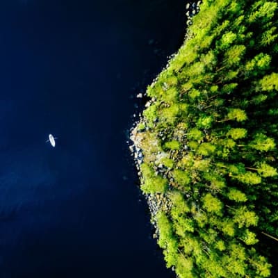 Investing in the fight against climate change