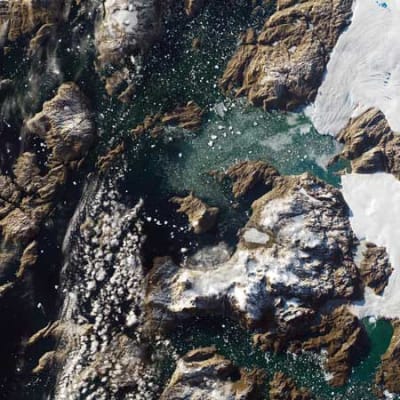 Adapting to the inevitability of climate change