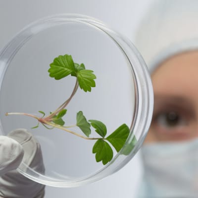 The sustainability revolution: the state of transition