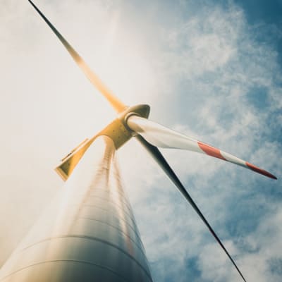 The path of renewable energy