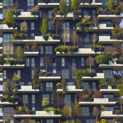 Sustainability in the corporate world