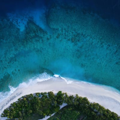 LOIM erhält Zusage über 20 Millionen Dollar vom Constitutional Reserve Fund of Monaco für die Plastic Circularity-Strategie