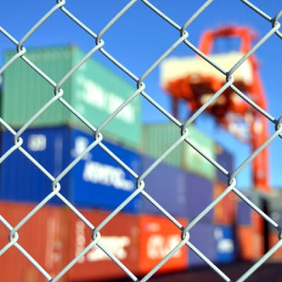 Facing a less global globe: the next decade