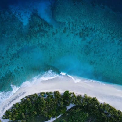 Webinar: building a circular plastics future
