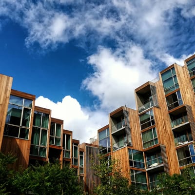 Building green: how engineered wood is transforming sustainable architecture