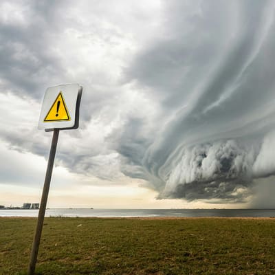 The year of trading dangerously