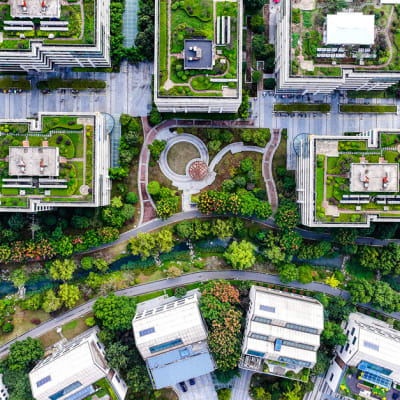 Sustainable cities in the spotlight at Davos 2025