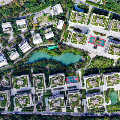 Costruire biocittà – investiamo nella natura per trasformare i paesaggi urbani