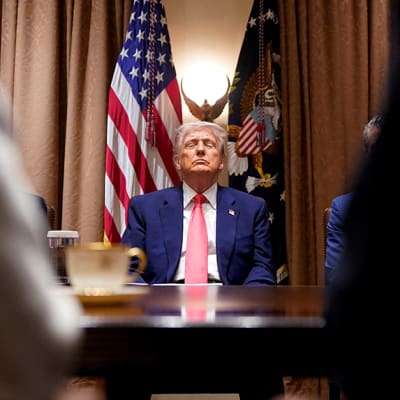 Will Donald Trump's fiscal plan work?