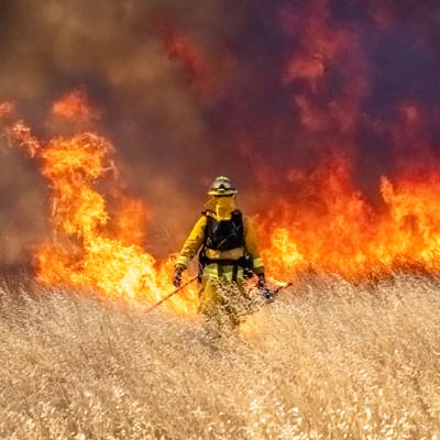 Predicting the flame: how AI is reshaping our response to wildfires
