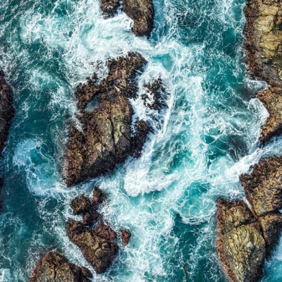 Sustainability adapts to policy pressures and opportunity
