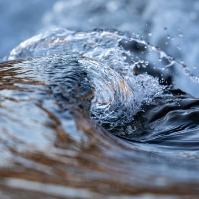 Nature-positive investments gain traction