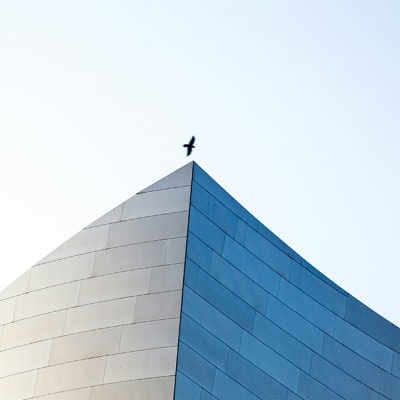 How does alternative data provide an equity investing edge?