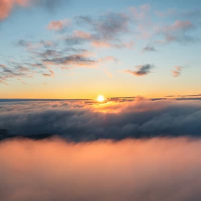 Harvesting carry in equities by improving dividend tax efficiency