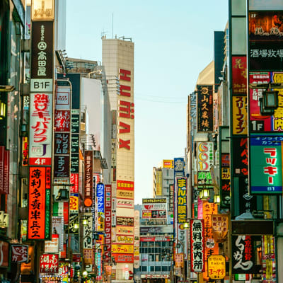 Land of the rising yield: Japan's capital shift 