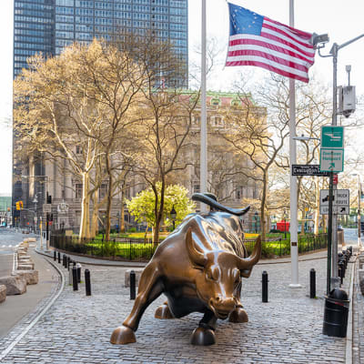 Market exuberance, with logic