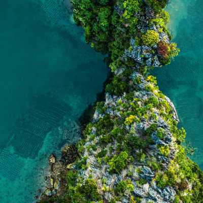 The Intelligent Allocator: the comforting illusion of market timing