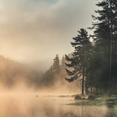 Forward thinking in net-zero investing: four myths debunked