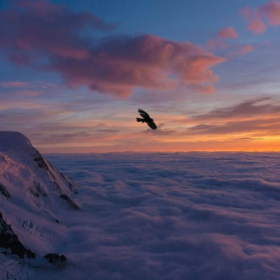 Outlook 2026: spectacular spending, unspectacular growth. Emerging markets and gold in focus