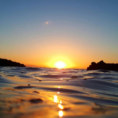 Balanced growth, balanced returns in 2026