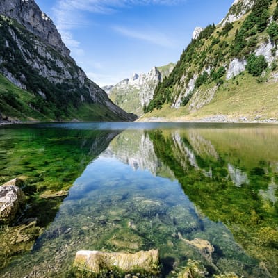 What do the EU’s SFDR 2.0 proposals mean for sustainable investing?