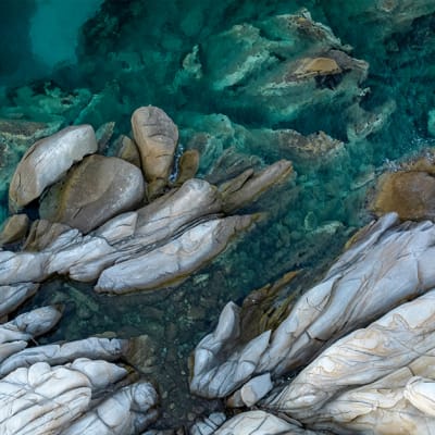 The Intelligent Allocator: Geopolitical fear travels faster than capital