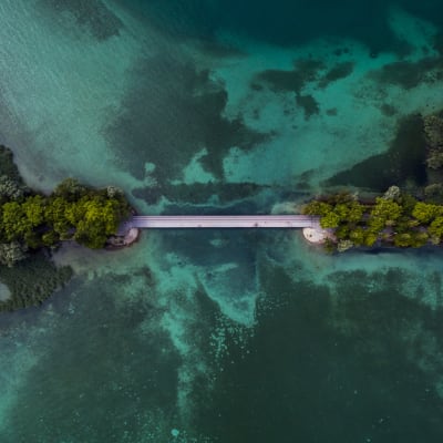 Private equity secondaries: growth drivers, transaction types and a differentiated approach